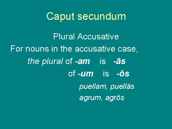 Caput secundum Plural Accusative For nouns in the accusative case, the plural of -am