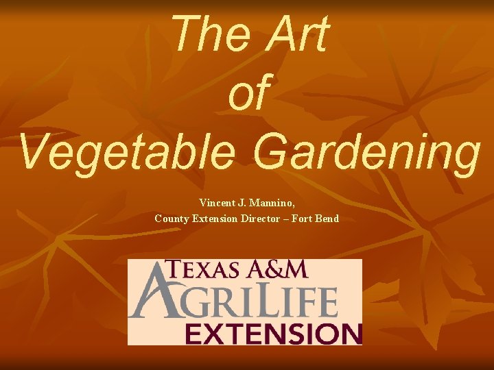 The Art of Vegetable Gardening Vincent J. Mannino, County Extension Director – Fort Bend