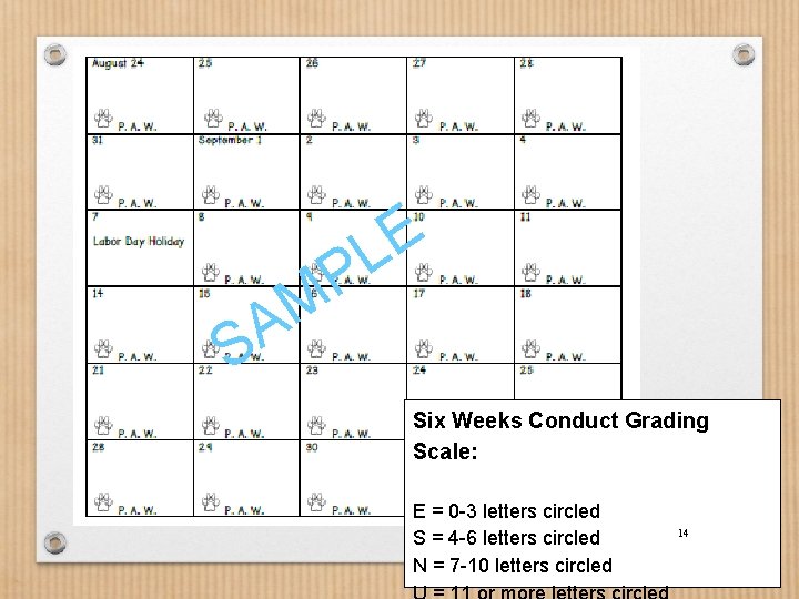 P M E L A S Six Weeks Conduct Grading Scale: E = 0