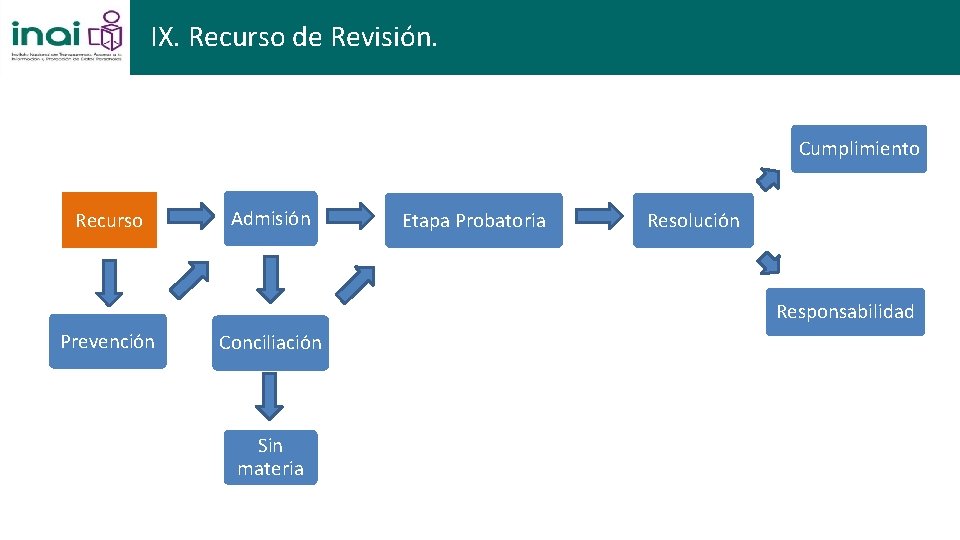 IX. Recurso de Revisión. Cumplimiento Recurso Admisión Etapa Probatoria Resolución Responsabilidad Prevención Conciliación Sin