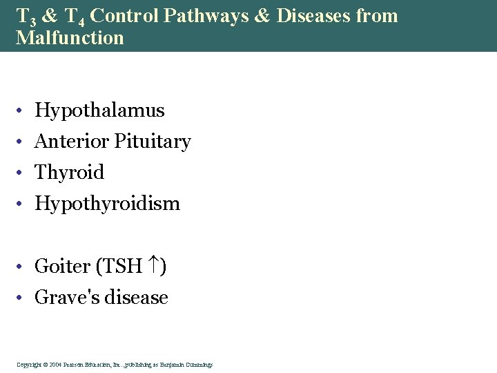 T 3 & T 4 Control Pathways & Diseases from Malfunction • Hypothalamus •