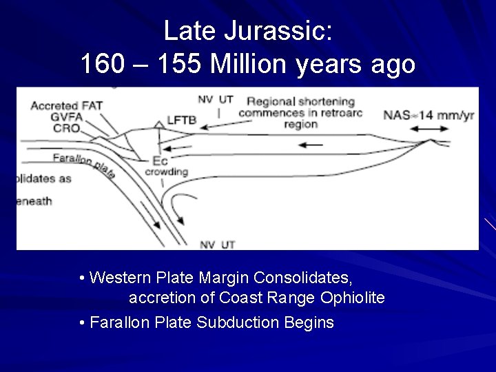 Late Jurassic: 160 – 155 Million years ago • Western Plate Margin Consolidates, accretion