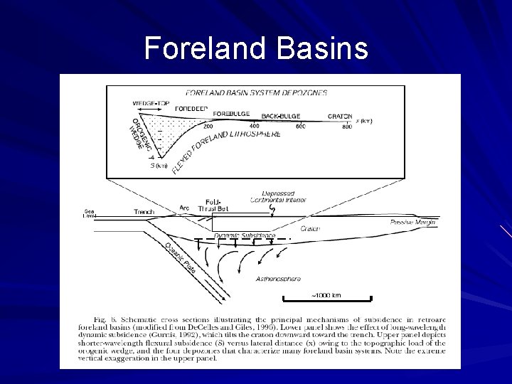 Foreland Basins 