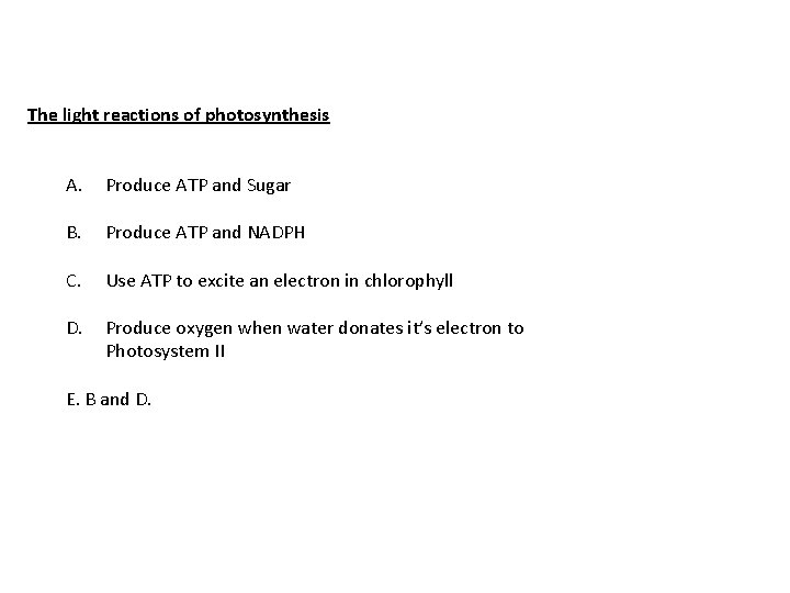 The light reactions of photosynthesis A. Produce ATP and Sugar B. Produce ATP and