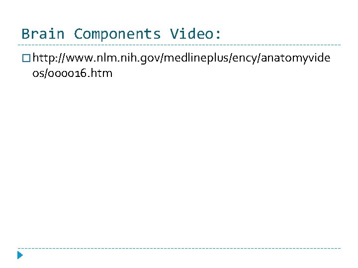 Brain Components Video: � http: //www. nlm. nih. gov/medlineplus/ency/anatomyvide os/000016. htm 