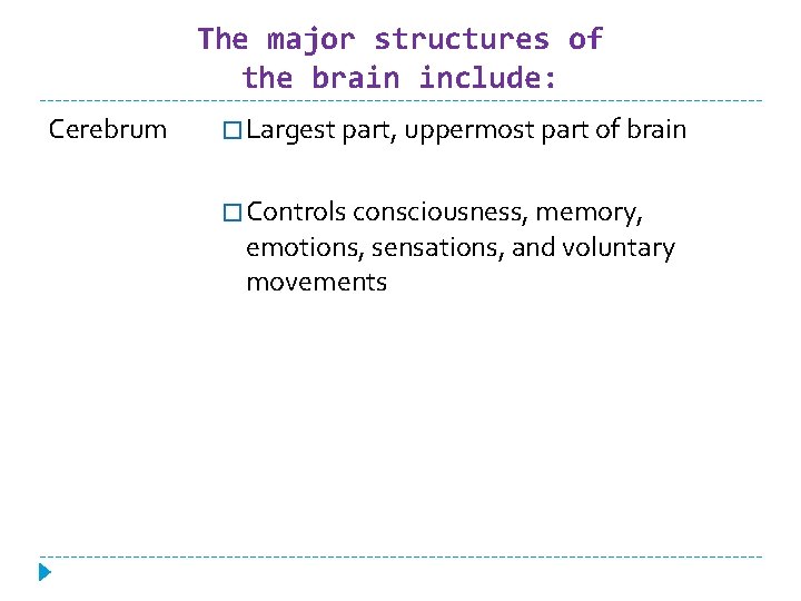 The major structures of the brain include: Cerebrum � Largest part, uppermost part of