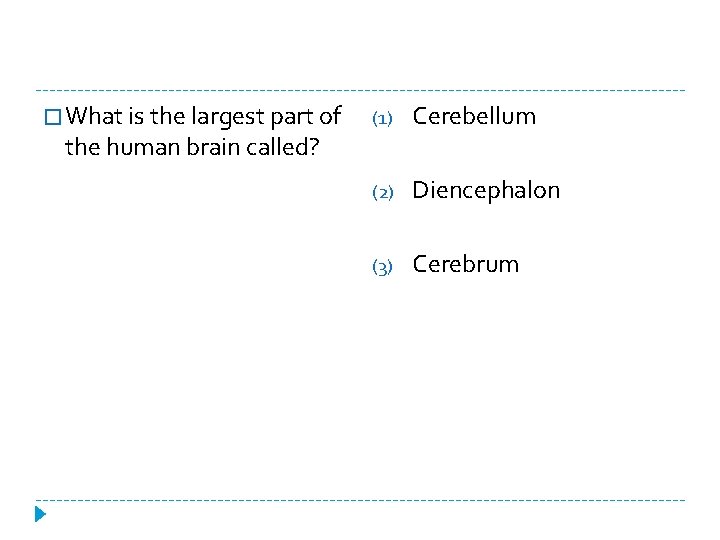 � What is the largest part of (1) Cerebellum (2) Diencephalon (3) Cerebrum the