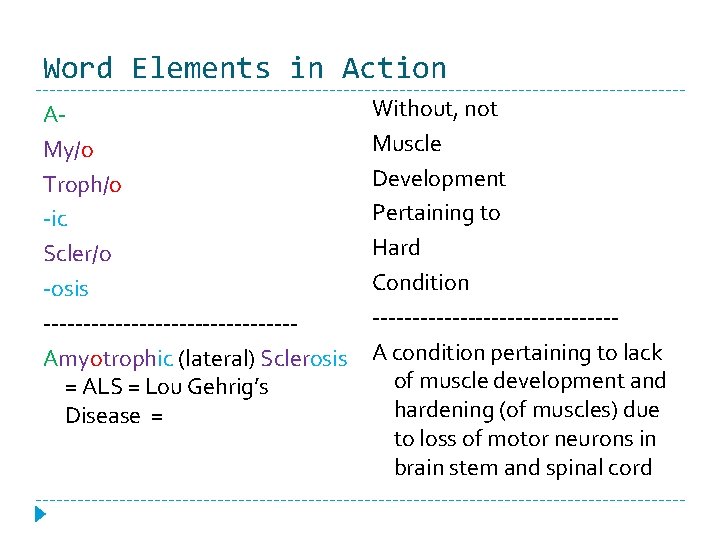 Word Elements in Action AMy/o Troph/o -ic Scler/o -osis ----------------Amyotrophic (lateral) Sclerosis = ALS