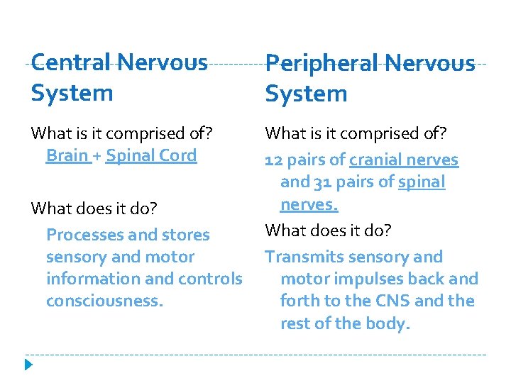 Central Nervous System Peripheral Nervous System What is it comprised of? Brain + Spinal