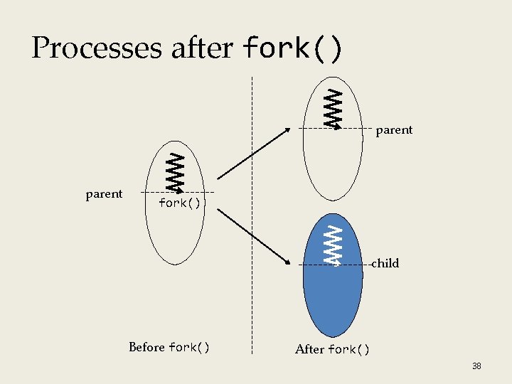 Processes after fork() parent fork() child Before fork() After fork() 38 