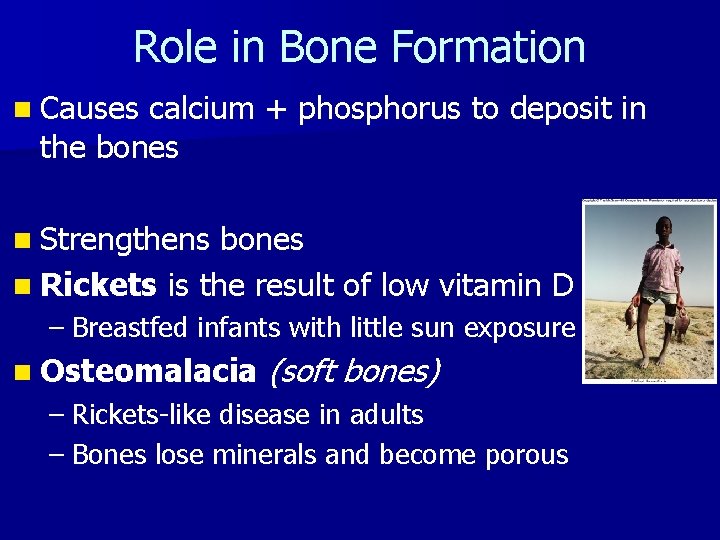 Role in Bone Formation n Causes calcium + phosphorus to deposit in the bones