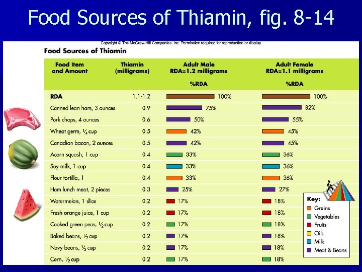 Food Sources of Thiamin, fig. 8 -14 