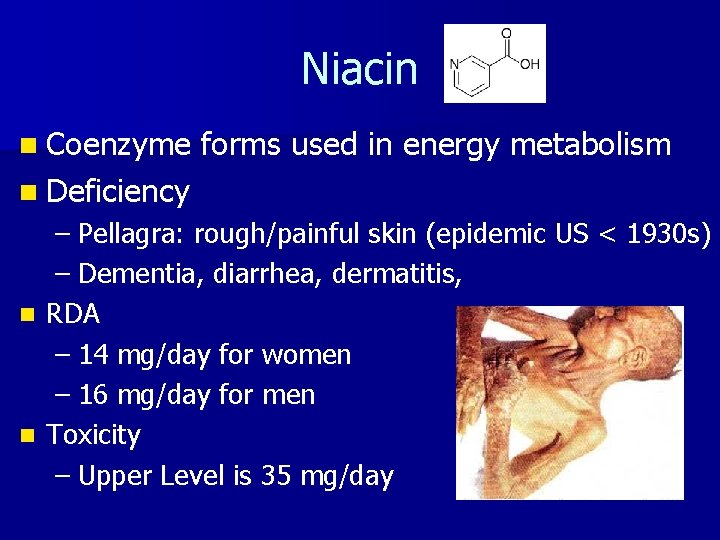 Niacin n Coenzyme forms used in energy metabolism n Deficiency – Pellagra: rough/painful skin