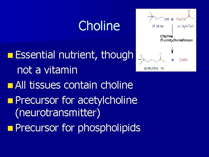 Choline n Essential nutrient, though not a vitamin n All tissues contain choline n