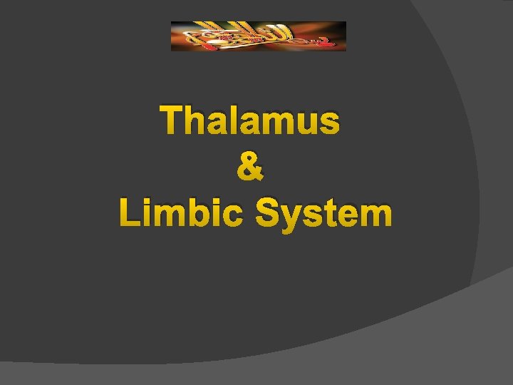 Thalamus & Limbic System 