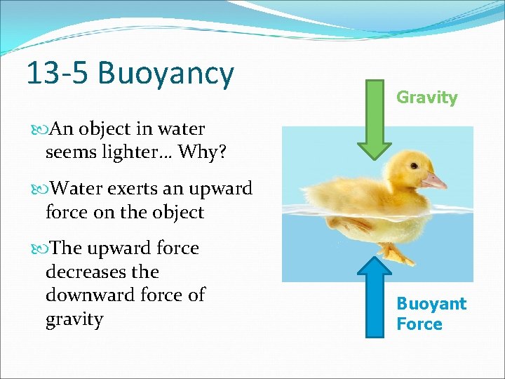 13 -5 Buoyancy Gravity An object in water seems lighter… Why? Water exerts an