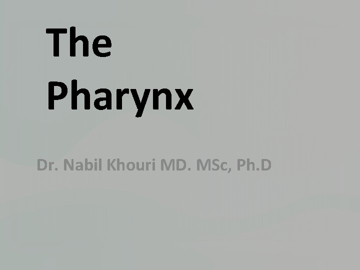 The Pharynx Dr. Nabil Khouri MD. MSc, Ph. D 