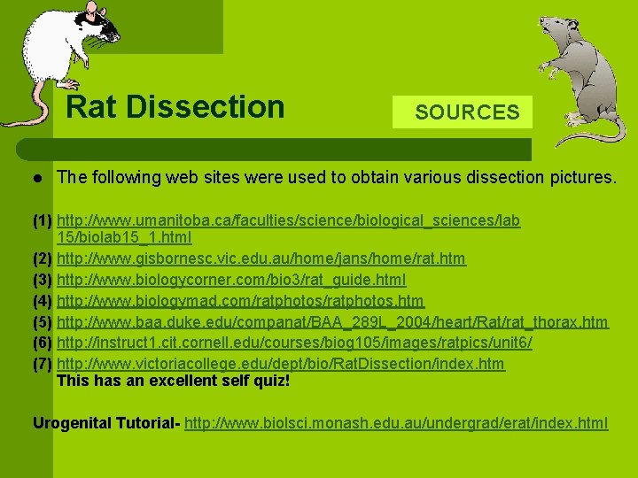 Rat Dissection l SOURCES The following web sites were used to obtain various dissection