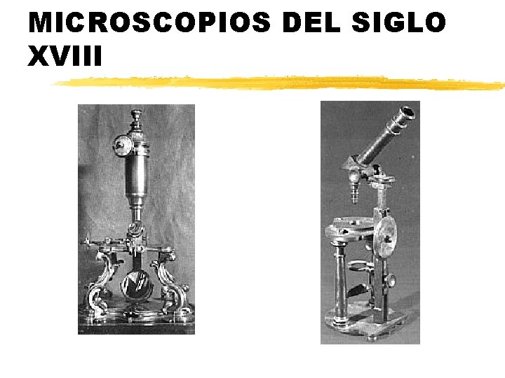 MICROSCOPIOS DEL SIGLO XVIII 