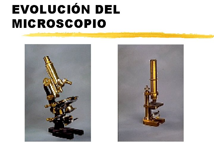 EVOLUCIÓN DEL MICROSCOPIO 