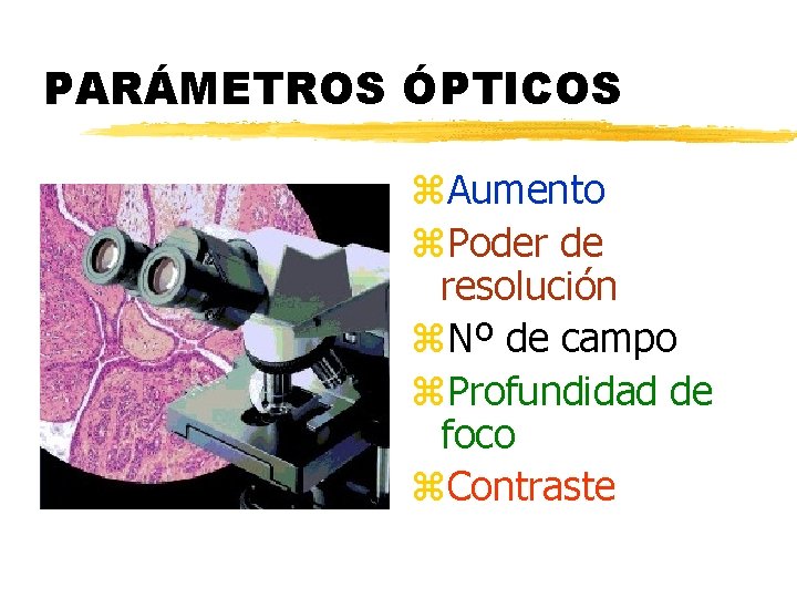 PARÁMETROS ÓPTICOS z. Aumento z. Poder de resolución z. Nº de campo z. Profundidad