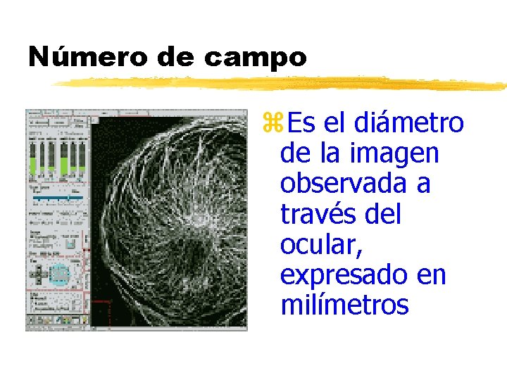 Número de campo z. Es el diámetro de la imagen observada a través del