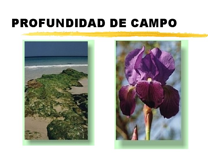 PROFUNDIDAD DE CAMPO 