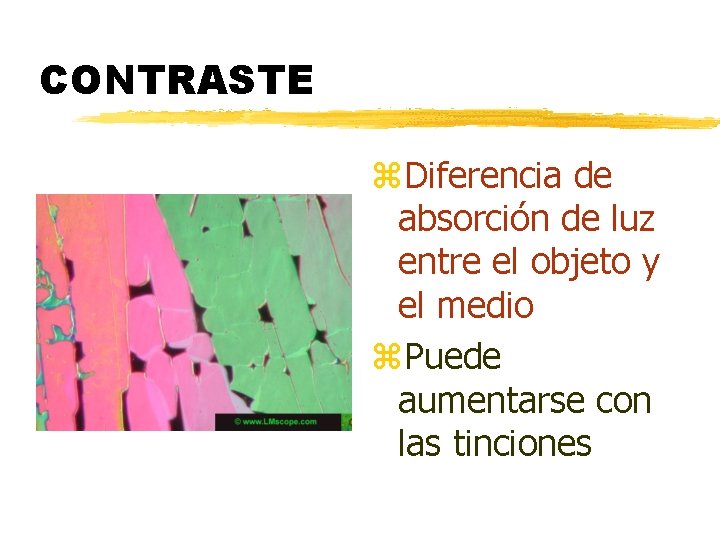 CONTRASTE z. Diferencia de absorción de luz entre el objeto y el medio z.