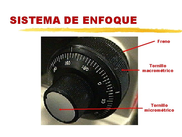 SISTEMA DE ENFOQUE Freno Tornillo macrométrico Tornillo micrométrico 