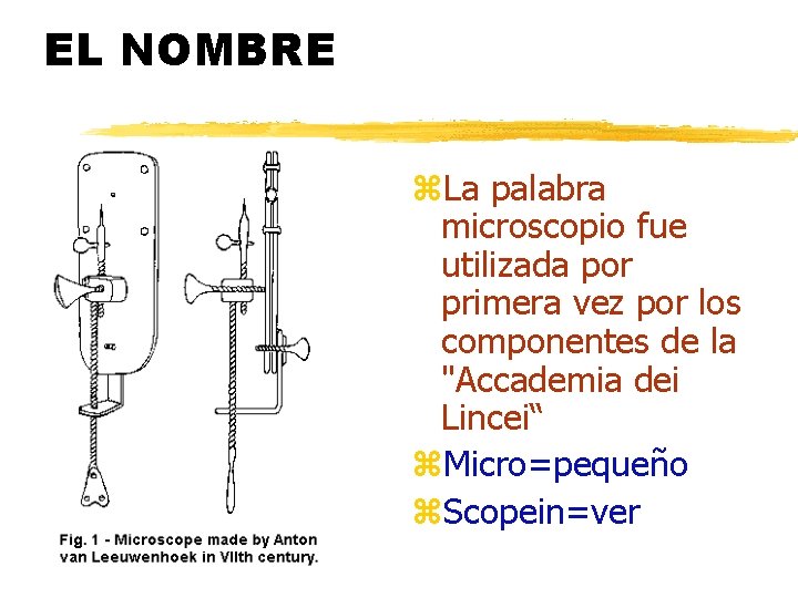 EL NOMBRE z. La palabra microscopio fue utilizada por primera vez por los componentes