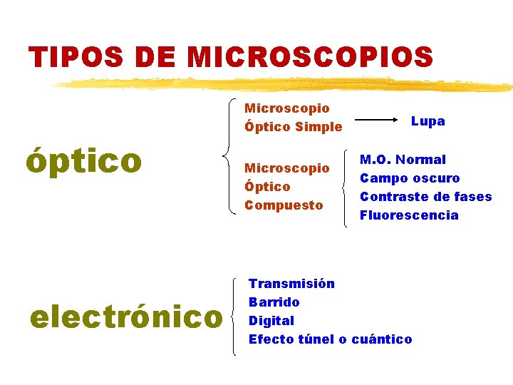 TIPOS DE MICROSCOPIOS óptico electrónico Microscopio Óptico Simple Microscopio Óptico Compuesto Lupa M. O.