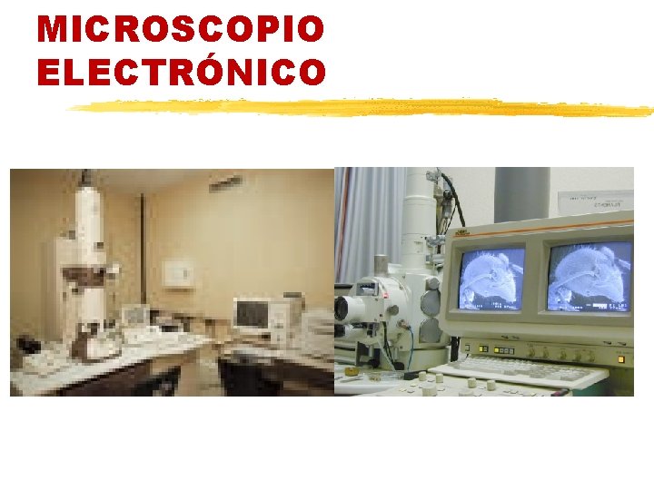 MICROSCOPIO ELECTRÓNICO 