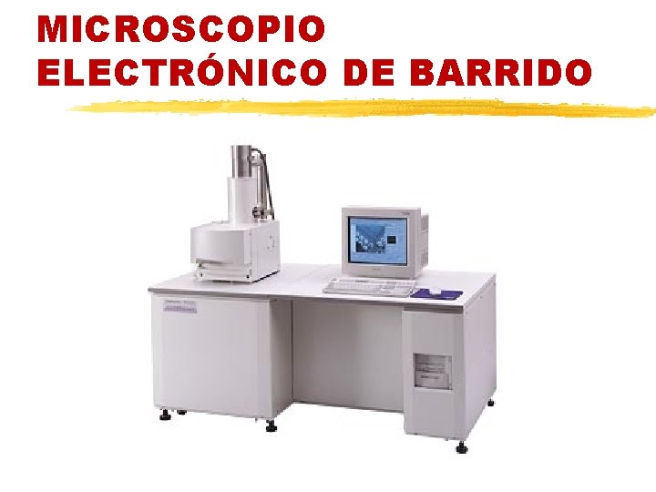 MICROSCOPIO ELECTRÓNICO DE BARRIDO 