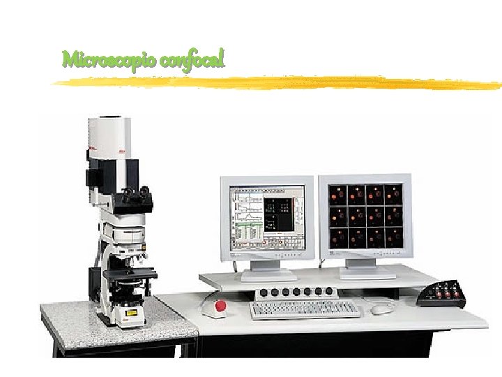 Microscopio confocal 