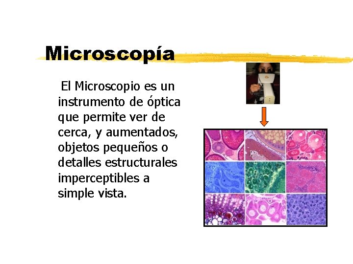 Microscopía El Microscopio es un instrumento de óptica que permite ver de cerca, y