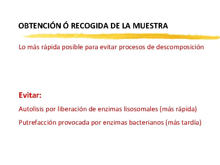 OBTENCIÓN Ó RECOGIDA DE LA MUESTRA Lo más rápida posible para evitar procesos de