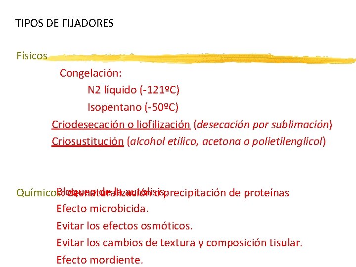 TIPOS DE FIJADORES Físicos Congelación: N 2 líquido (-121ºC) Isopentano (-50ºC) Criodesecación o liofilización