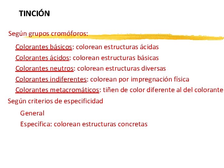 TINCIÓN Según grupos cromóforos: Colorantes básicos: colorean estructuras ácidas Colorantes ácidos: colorean estructuras básicas