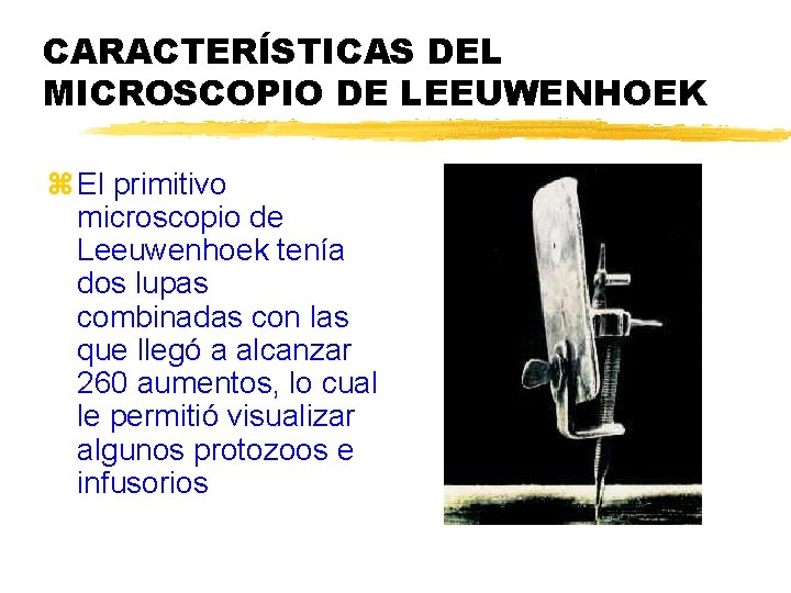 CARACTERÍSTICAS DEL MICROSCOPIO DE LEEUWENHOEK z El primitivo microscopio de Leeuwenhoek tenía dos lupas