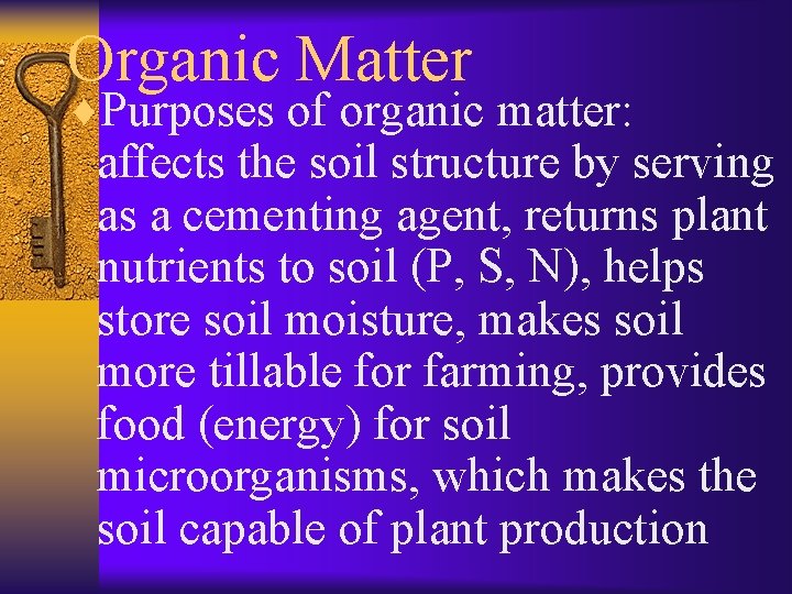 Organic Matter ¨Purposes of organic matter: affects the soil structure by serving as a