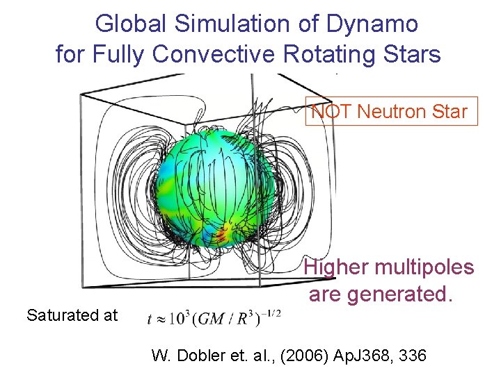 　Global Simulation of Dynamo for Fully Convective Rotating Stars NOT Neutron Star Higher multipoles