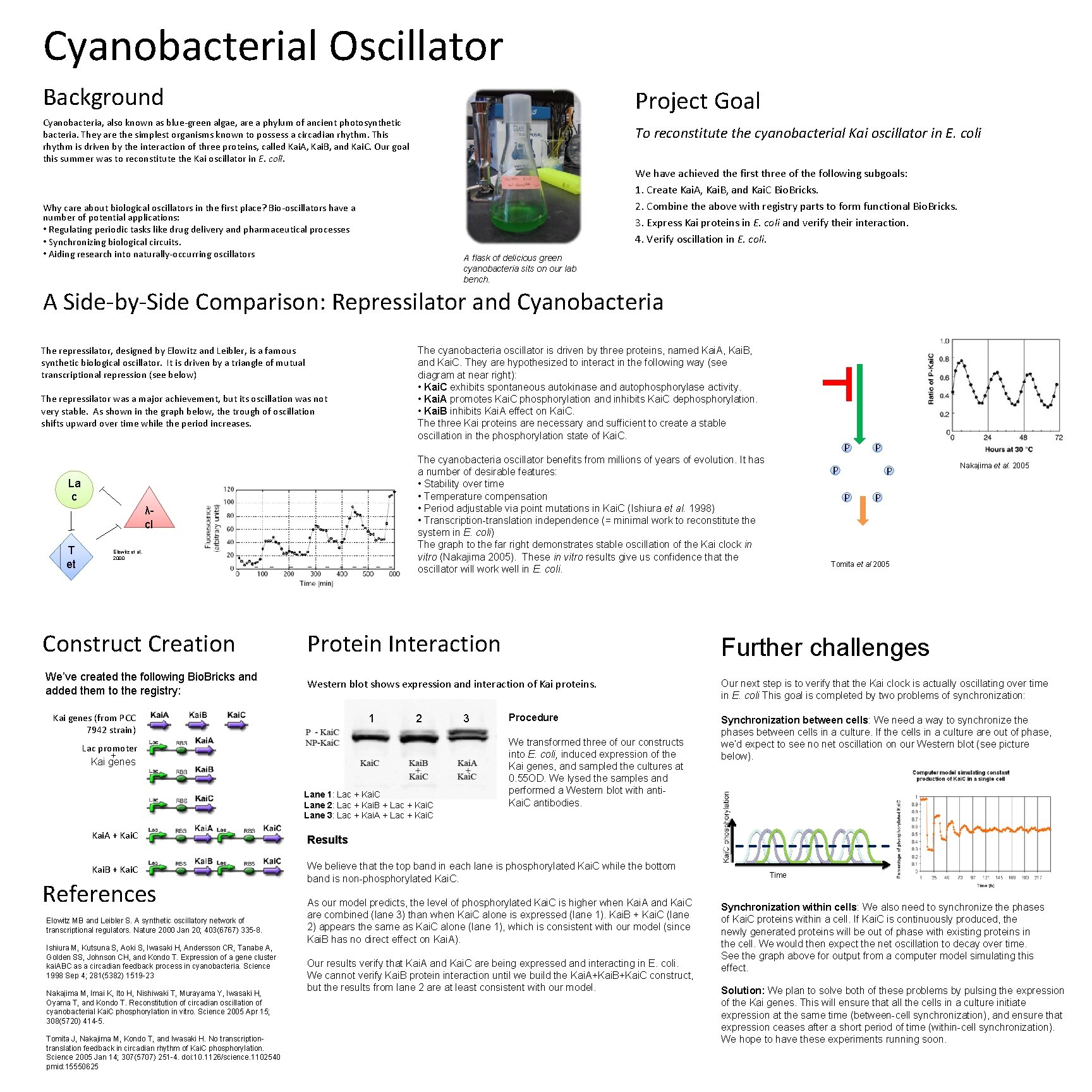 Cyanobacterial Oscillator Background Project Goal Cyanobacteria, also known as blue-green algae, are a phylum