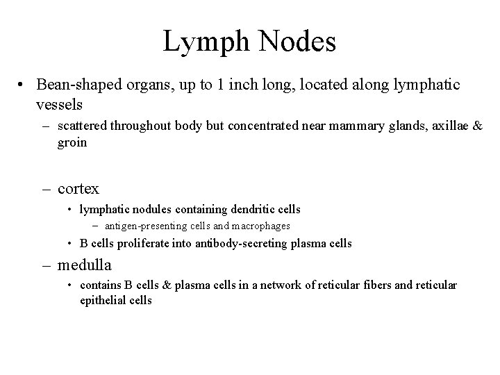 Lymph Nodes • Bean-shaped organs, up to 1 inch long, located along lymphatic vessels