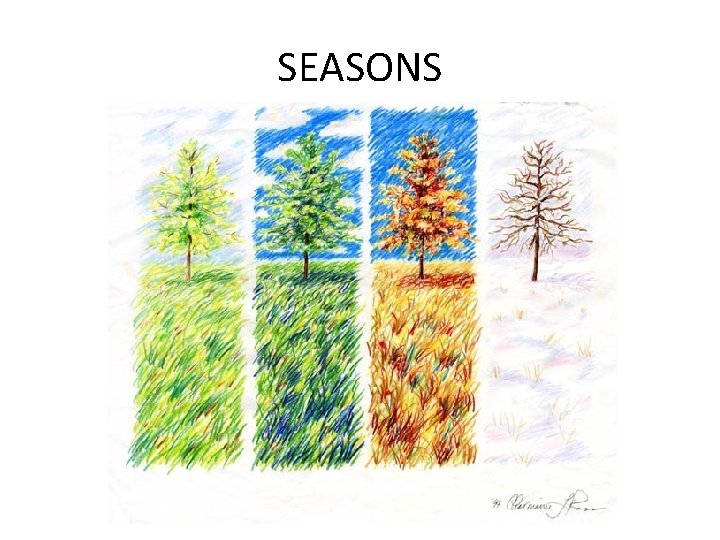 SEASONS 