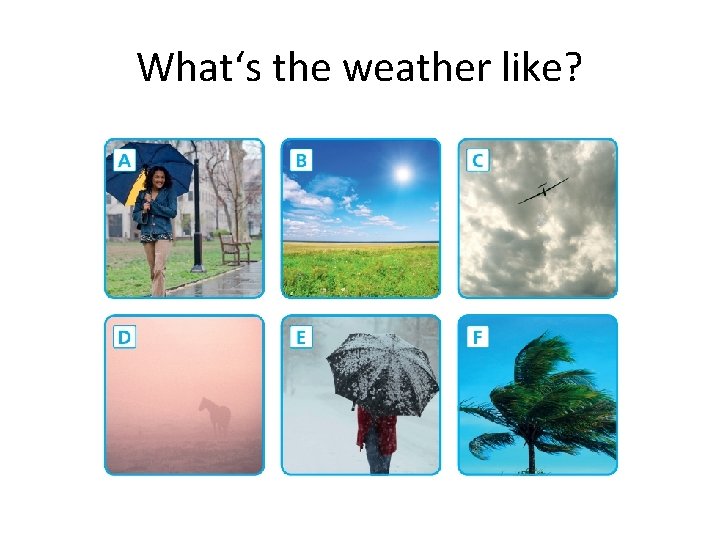 What‘s the weather like? 