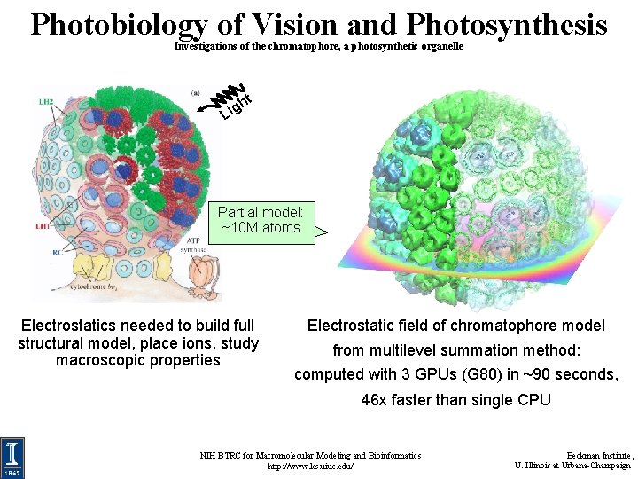 Photobiology of Vision and Photosynthesis Investigations of the chromatophore, a photosynthetic organelle t h