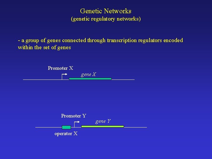 Genetic Networks (genetic regulatory networks) - a group of genes connected through transcription regulators