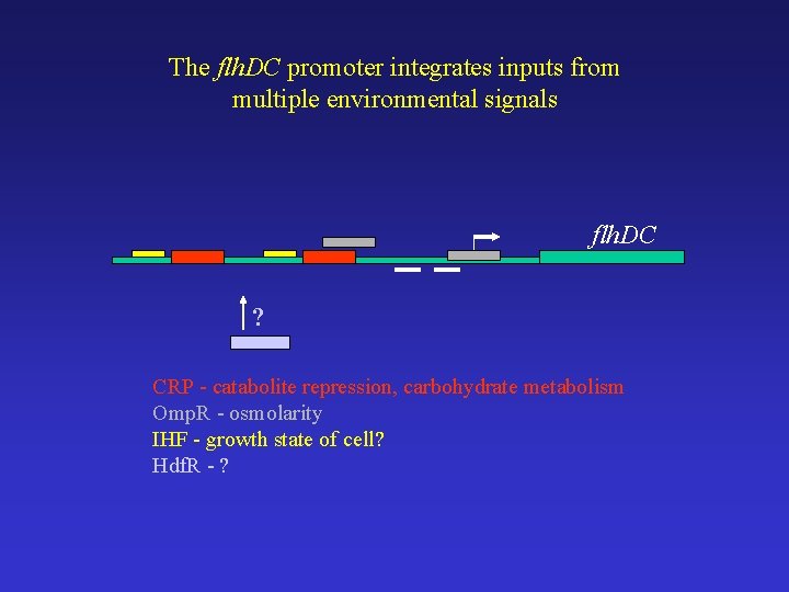 The flh. DC promoter integrates inputs from multiple environmental signals flh. DC ? CRP