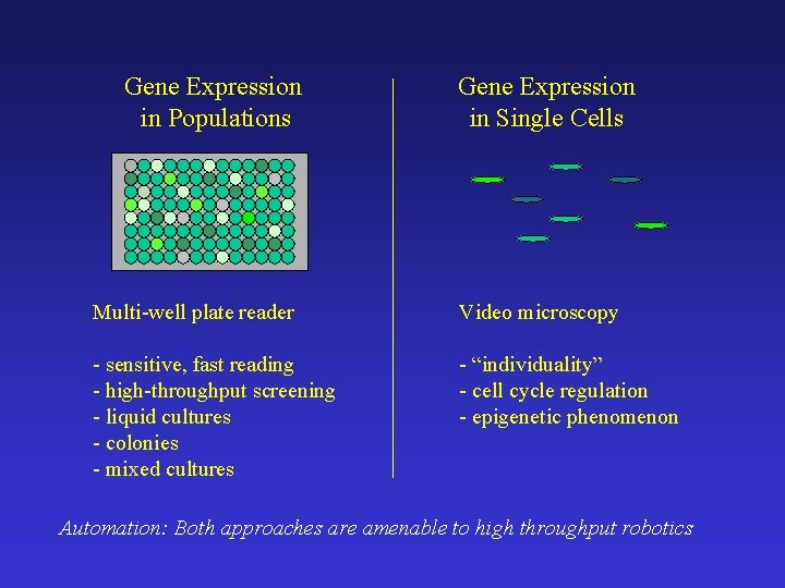 Gene Expression in Populations Gene Expression in Single Cells Multi-well plate reader Video microscopy