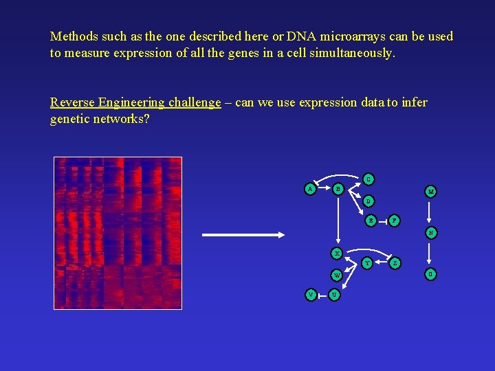 Methods such as the one described here or DNA microarrays can be used to